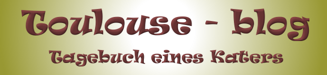 Toulouse-blog - Tagebuch von Toulouse dem Kater Toulouse Blog Banner